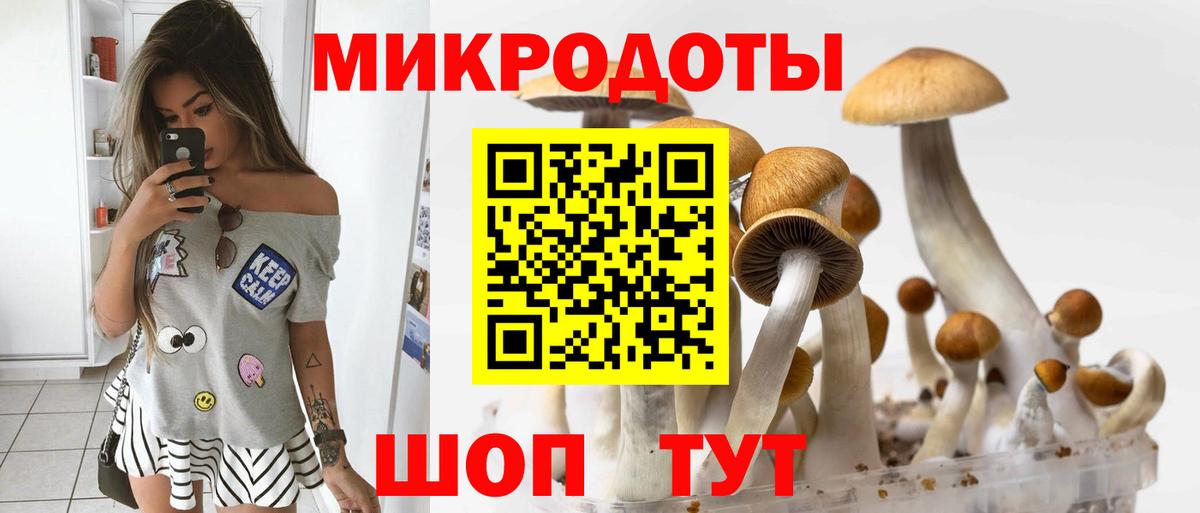 Галлюциногенные грибы Psilocybe  Вход с VPN  Галлюциногенные грибы прущие грибы  Калининград 